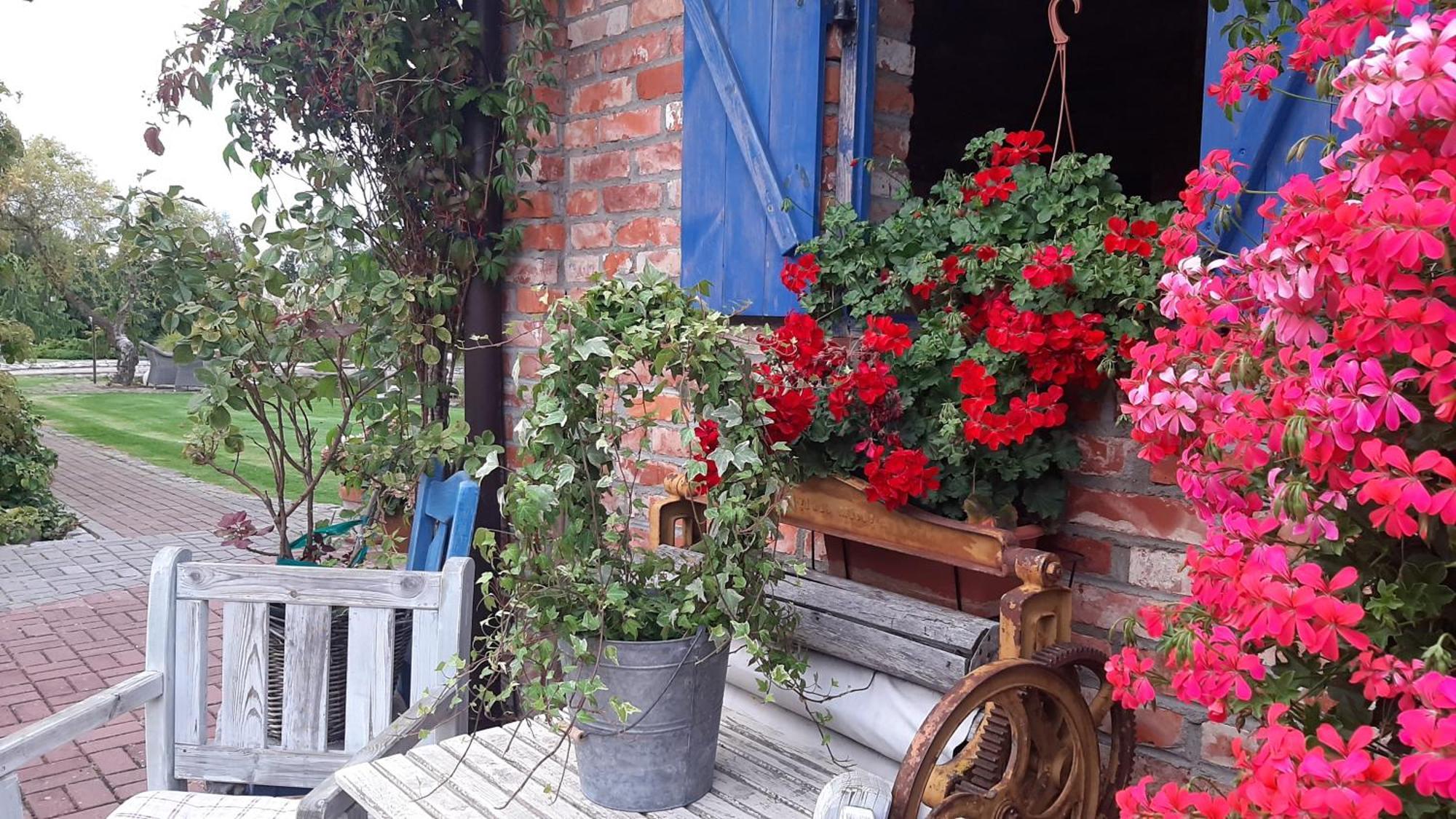 Siedlisko Nad Miedwiem Stargard Szczecinski ภายนอก รูปภาพ